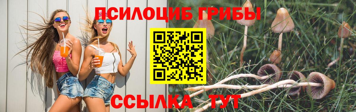 Псилоцибиновые грибы Magic Shrooms  Вход с VPN  Карачаевск 