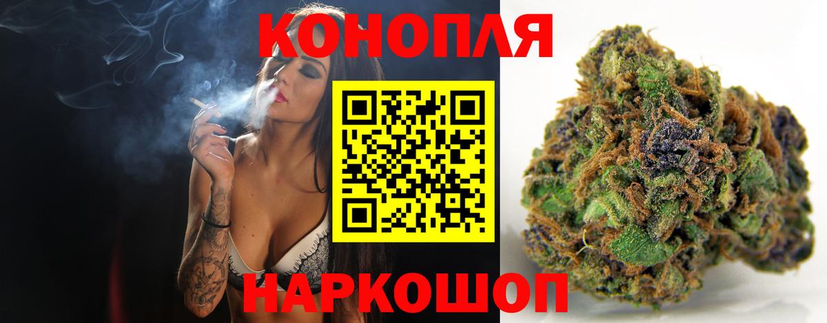 Карачаевск  Шишки марихуана план  Вход с VPN  Шишки марихуана тримм 